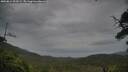 ./images/calvert/fitz-hugh-hecate/20250814/fitz-hugh-hecate20250814_103509M.jpg