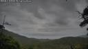 ./images/calvert/fitz-hugh-hecate/20250814/fitz-hugh-hecate20250814_105510M.jpg