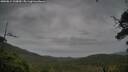 ./images/calvert/fitz-hugh-hecate/20250814/fitz-hugh-hecate20250814_110010M.jpg