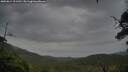 ./images/calvert/fitz-hugh-hecate/20250814/fitz-hugh-hecate20250814_111511M.jpg
