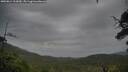 ./images/calvert/fitz-hugh-hecate/20250814/fitz-hugh-hecate20250814_112009M.jpg