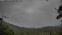 ./images/calvert/fitz-hugh-hecate/20250814/fitz-hugh-hecate20250814_112510M.jpg