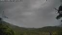 ./images/calvert/fitz-hugh-hecate/20250814/fitz-hugh-hecate20250814_113011M.jpg