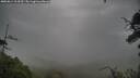 ./images/calvert/fitz-hugh-hecate/20250814/fitz-hugh-hecate20250814_113510M.jpg