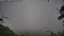 ./images/calvert/fitz-hugh-hecate/20250814/fitz-hugh-hecate20250814_114510M.jpg