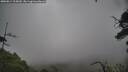 ./images/calvert/fitz-hugh-hecate/20250814/fitz-hugh-hecate20250814_115010M.jpg