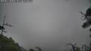 ./images/calvert/fitz-hugh-hecate/20250814/fitz-hugh-hecate20250814_120510M.jpg