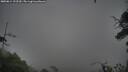 ./images/calvert/fitz-hugh-hecate/20250814/fitz-hugh-hecate20250814_122510M.jpg