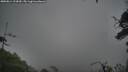 ./images/calvert/fitz-hugh-hecate/20250814/fitz-hugh-hecate20250814_123010M.jpg