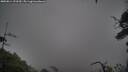 ./images/calvert/fitz-hugh-hecate/20250814/fitz-hugh-hecate20250814_123510M.jpg
