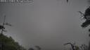 ./images/calvert/fitz-hugh-hecate/20250814/fitz-hugh-hecate20250814_124010M.jpg