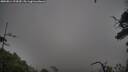 ./images/calvert/fitz-hugh-hecate/20250814/fitz-hugh-hecate20250814_124510M.jpg