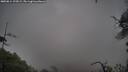 ./images/calvert/fitz-hugh-hecate/20250814/fitz-hugh-hecate20250814_125009M.jpg