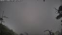 ./images/calvert/fitz-hugh-hecate/20250814/fitz-hugh-hecate20250814_130012M.jpg