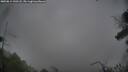 ./images/calvert/fitz-hugh-hecate/20250814/fitz-hugh-hecate20250814_130508M.jpg