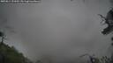 ./images/calvert/fitz-hugh-hecate/20250814/fitz-hugh-hecate20250814_131009M.jpg
