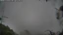 ./images/calvert/fitz-hugh-hecate/20250814/fitz-hugh-hecate20250814_131511M.jpg