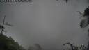 ./images/calvert/fitz-hugh-hecate/20250814/fitz-hugh-hecate20250814_132510M.jpg