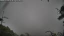 ./images/calvert/fitz-hugh-hecate/20250814/fitz-hugh-hecate20250814_133508M.jpg