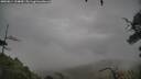 ./images/calvert/fitz-hugh-hecate/20250814/fitz-hugh-hecate20250814_134010M.jpg