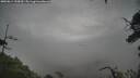 ./images/calvert/fitz-hugh-hecate/20250814/fitz-hugh-hecate20250814_135010M.jpg