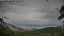 ./images/calvert/fitz-hugh-hecate/20250814/fitz-hugh-hecate20250814_135508M.jpg