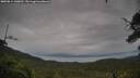./images/calvert/fitz-hugh-hecate/20250814/fitz-hugh-hecate20250814_140011M.jpg