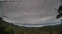 ./images/calvert/fitz-hugh-hecate/20250814/fitz-hugh-hecate20250814_141010M.jpg