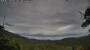 ./images/calvert/fitz-hugh-hecate/20250814/fitz-hugh-hecate20250814_141512M.jpg