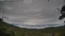 ./images/calvert/fitz-hugh-hecate/20250814/fitz-hugh-hecate20250814_142508M.jpg