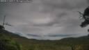 ./images/calvert/fitz-hugh-hecate/20250814/fitz-hugh-hecate20250814_143509M.jpg