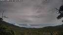 ./images/calvert/fitz-hugh-hecate/20250814/fitz-hugh-hecate20250814_144008M.jpg