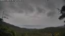 ./images/calvert/fitz-hugh-hecate/20250814/fitz-hugh-hecate20250814_145508M.jpg