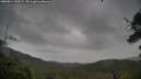 ./images/calvert/fitz-hugh-hecate/20250814/fitz-hugh-hecate20250814_150509M.jpg