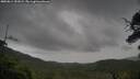 ./images/calvert/fitz-hugh-hecate/20250814/fitz-hugh-hecate20250814_151009M.jpg