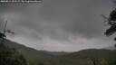 ./images/calvert/fitz-hugh-hecate/20250814/fitz-hugh-hecate20250814_152509M.jpg