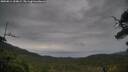 ./images/calvert/fitz-hugh-hecate/20250814/fitz-hugh-hecate20250814_154009M.jpg