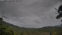 ./images/calvert/fitz-hugh-hecate/20250814/fitz-hugh-hecate20250814_155510M.jpg