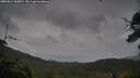 ./images/calvert/fitz-hugh-hecate/20250814/fitz-hugh-hecate20250814_160011M.jpg