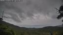 ./images/calvert/fitz-hugh-hecate/20250814/fitz-hugh-hecate20250814_160509M.jpg