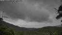 ./images/calvert/fitz-hugh-hecate/20250814/fitz-hugh-hecate20250814_161008M.jpg