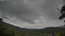 ./images/calvert/fitz-hugh-hecate/20250814/fitz-hugh-hecate20250814_161510M.jpg