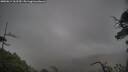 ./images/calvert/fitz-hugh-hecate/20250814/fitz-hugh-hecate20250814_162509M.jpg