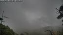 ./images/calvert/fitz-hugh-hecate/20250814/fitz-hugh-hecate20250814_163510M.jpg
