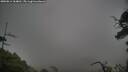 ./images/calvert/fitz-hugh-hecate/20250814/fitz-hugh-hecate20250814_164010M.jpg