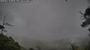 ./images/calvert/fitz-hugh-hecate/20250814/fitz-hugh-hecate20250814_164510M.jpg