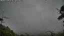 ./images/calvert/fitz-hugh-hecate/20250814/fitz-hugh-hecate20250814_165508M.jpg