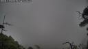 ./images/calvert/fitz-hugh-hecate/20250814/fitz-hugh-hecate20250814_170510M.jpg