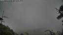 ./images/calvert/fitz-hugh-hecate/20250814/fitz-hugh-hecate20250814_171510M.jpg