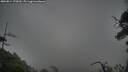 ./images/calvert/fitz-hugh-hecate/20250814/fitz-hugh-hecate20250814_172010M.jpg